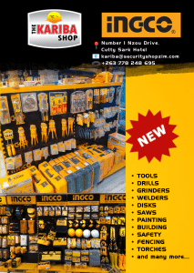 kariba shop ingco tools